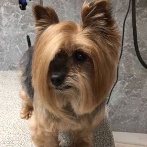 Meet your Posher, Vicki